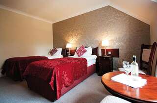 Отель Killarney Riverside Hotel Килларни Двухместный номер с 2 отдельными кроватями-4
